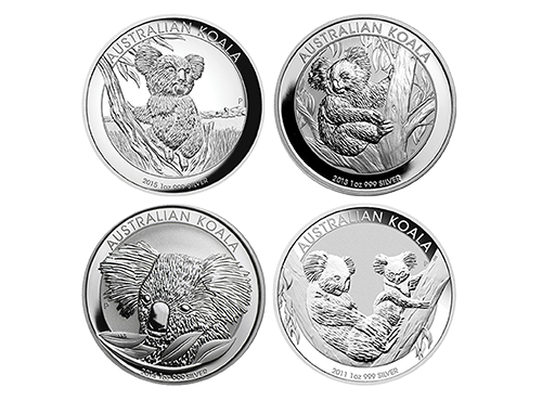 Australian Silver Koala