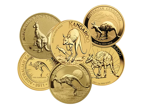 Australian Gold Kangaroo